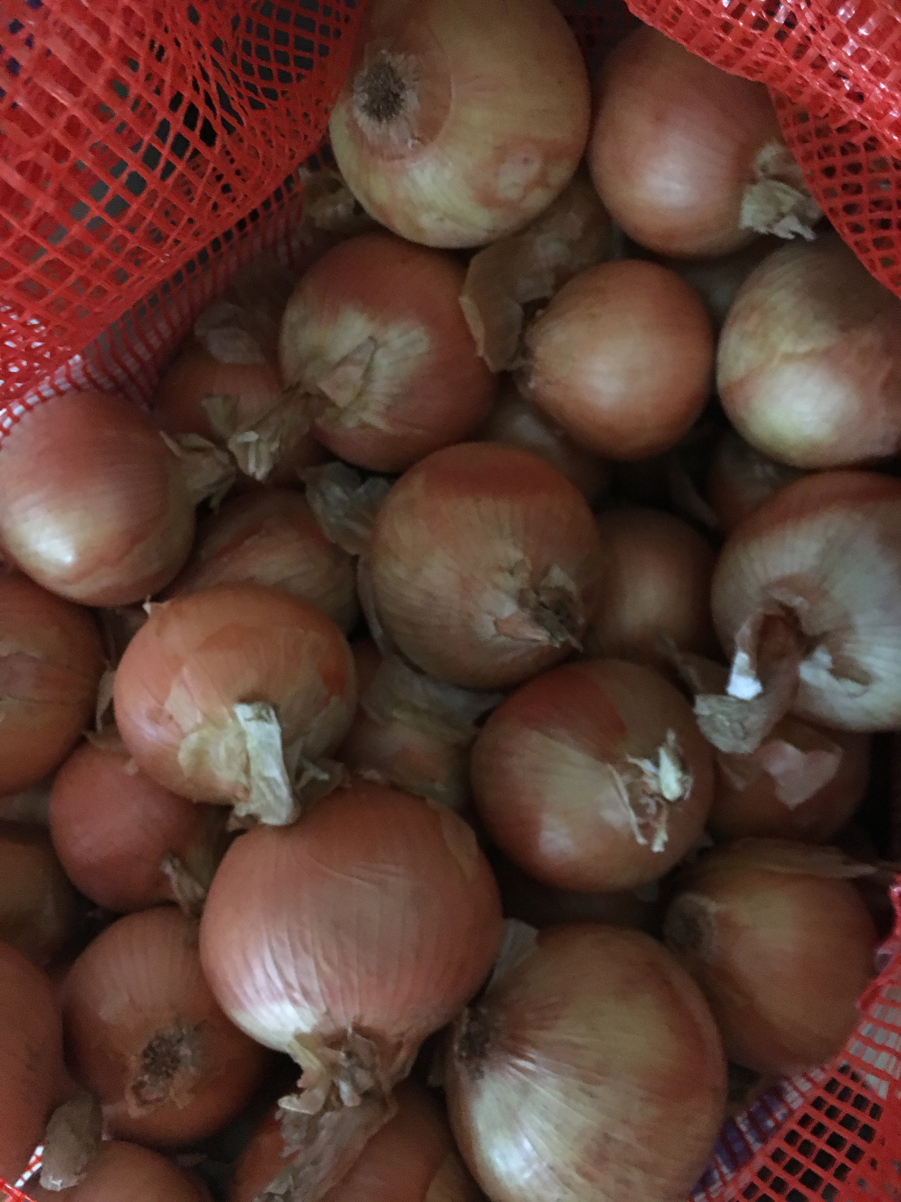 Onions – Brown per kg