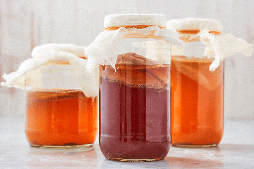 How to make Kombucha